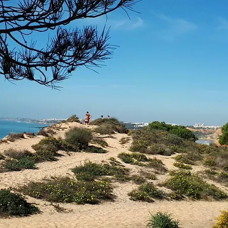 Falesia 6 B Apartament