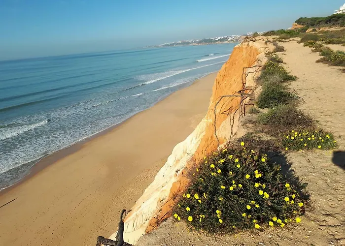 Apartman Falesia 6 B *