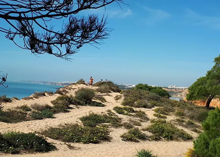 Falesia 6 B Apartman