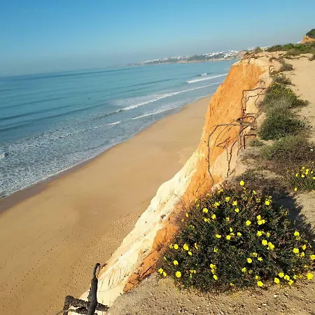 Апартаменты Falesia 6 B *